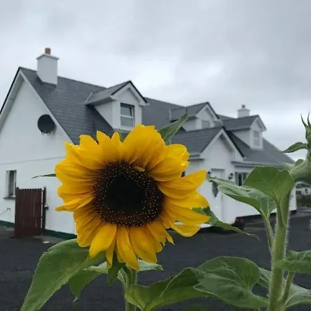 Curlews Rest - Gateway To The Aran Islands