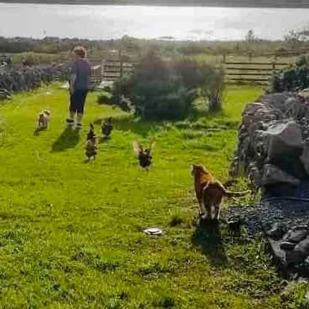 شقة Curlews Rest - Gateway To The Aran Islands غالواي