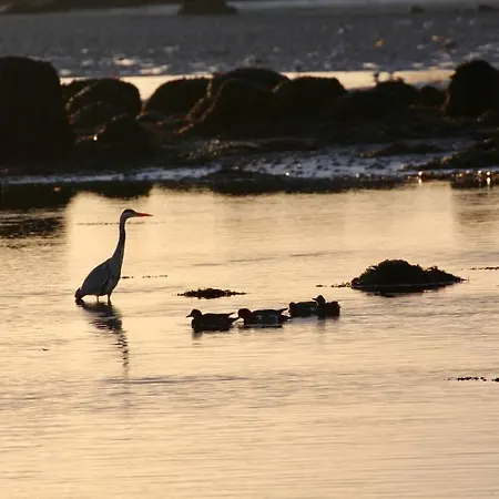 Curlews Rest - Gateway To The Aran Islands