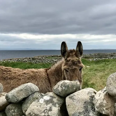 Curlews Rest - Gateway To The Aran Islands * غالواي
