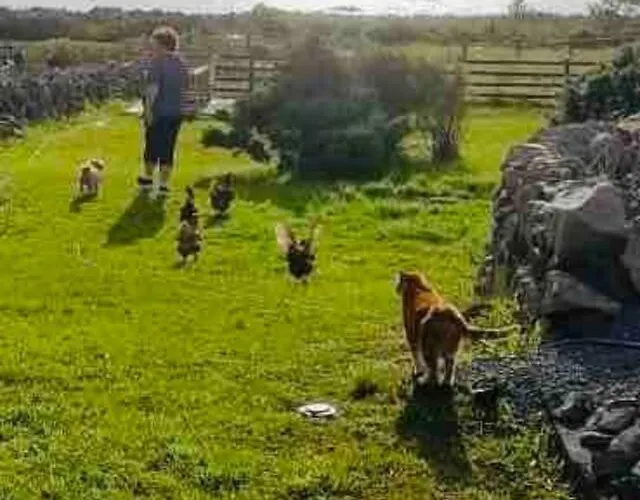 Διαμέρισμα Curlews Rest - Gateway To The Aran Islands Γκάλγουεϊ