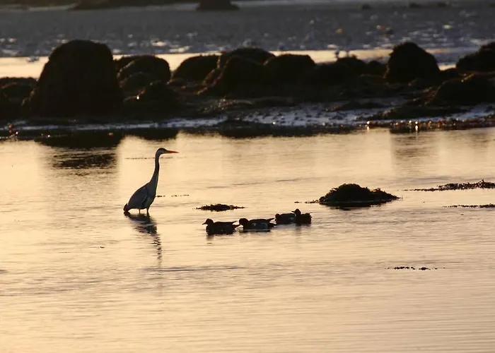Curlews Rest - Gateway To The Aran Islands