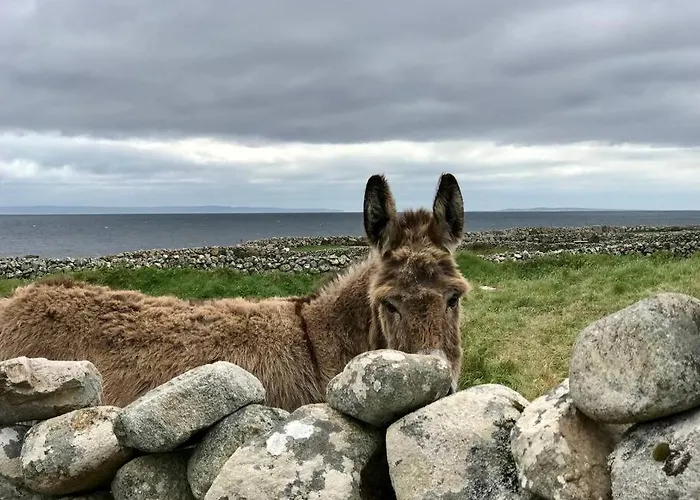 Curlews Rest - Gateway To The Aran Islands * Γκάλγουεϊ
